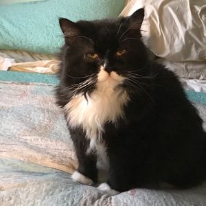 Meet your Posher, Sherri